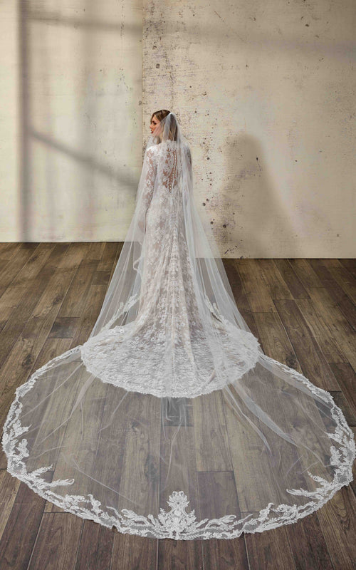 Aqua-VE (DR2503VE) — Eddy K Veil