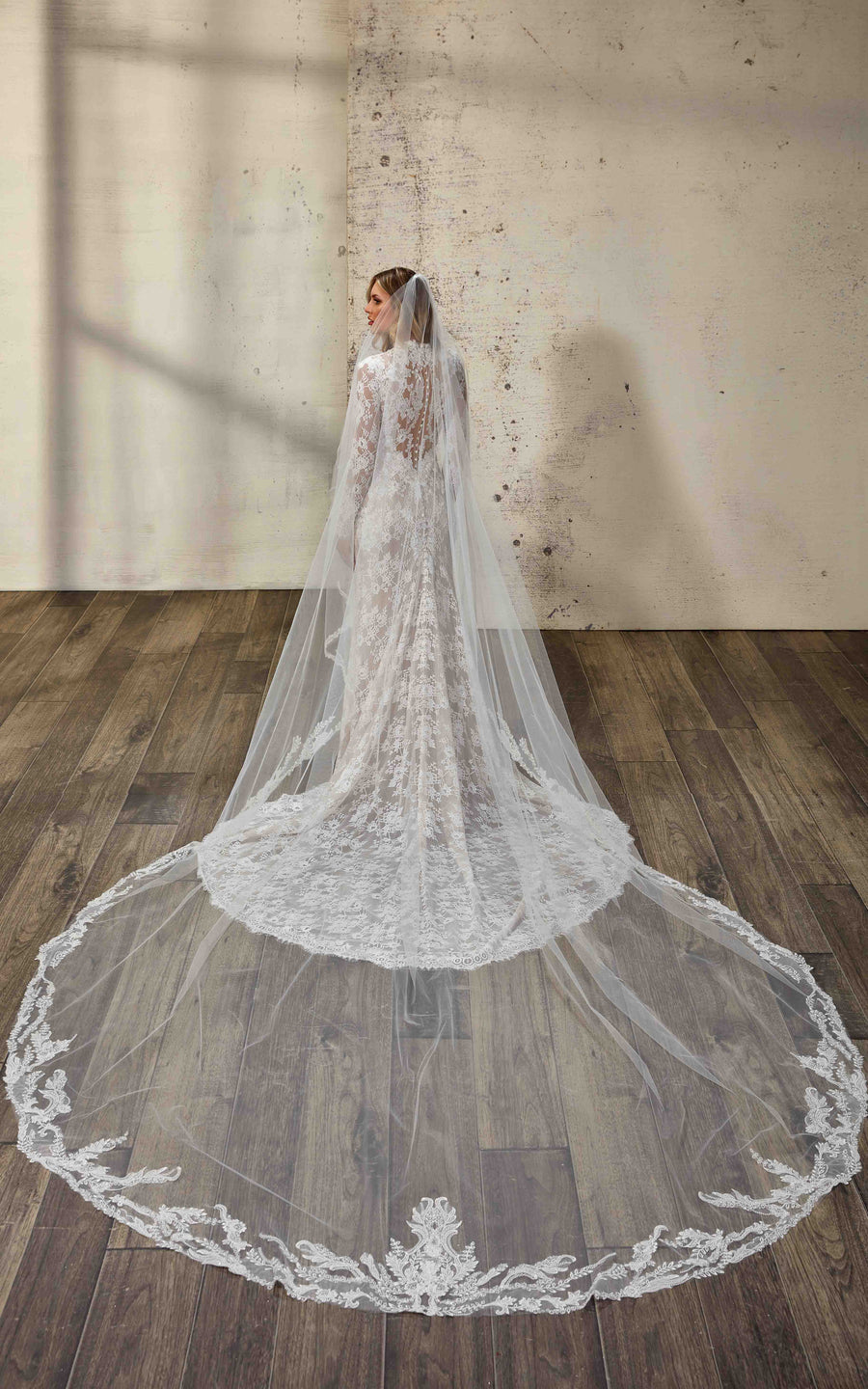 Aqua-VE (DR2503VE) — Eddy K Veil