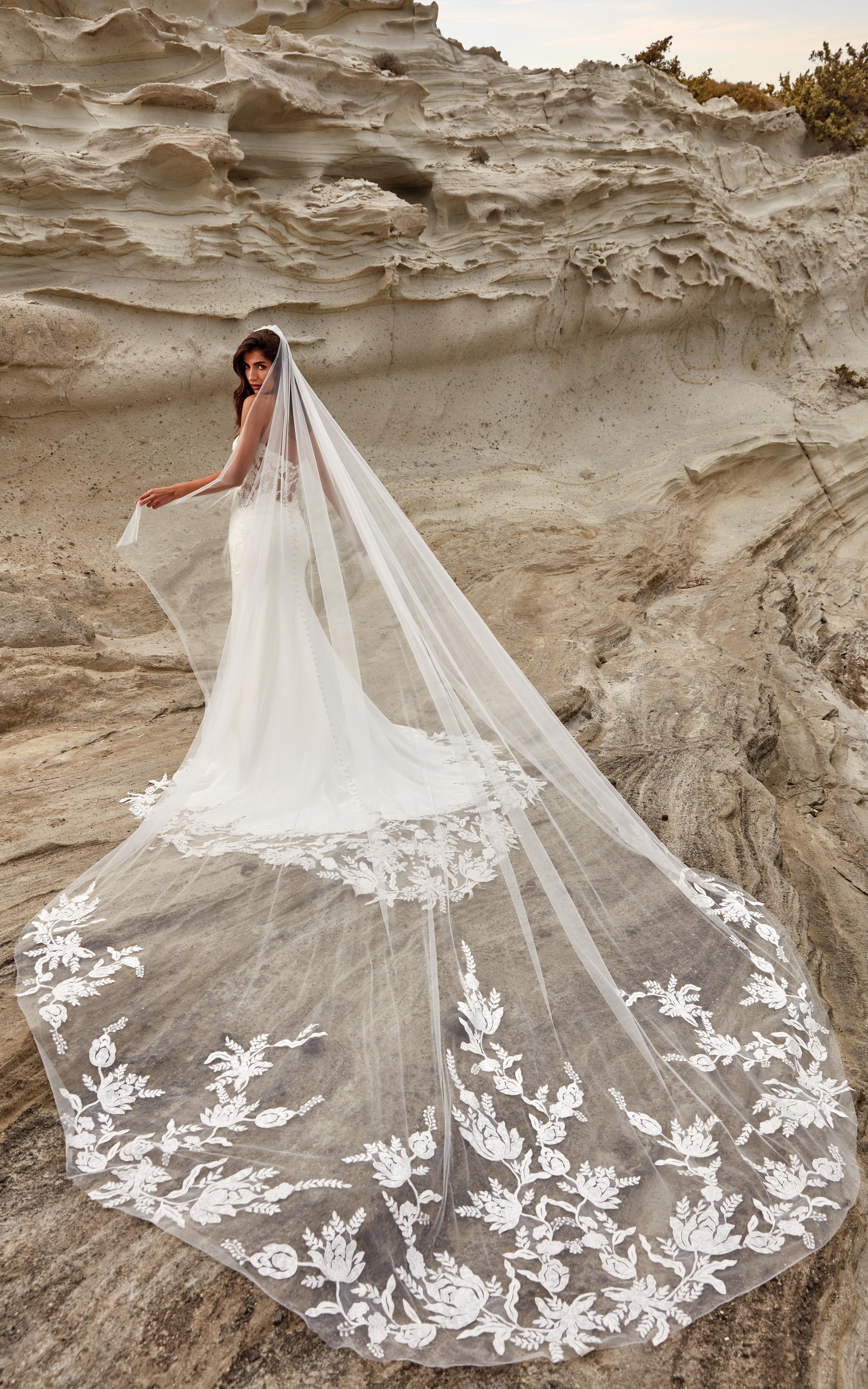 Sierra-VE (DR2409VE) — Eddy K Veil